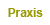 Praxis